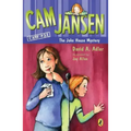 CAM Jansen and the Joke House Mystery