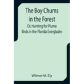 The Boy Chums in the Forest; Or, Hunting for Plume Birds in the Florida Everglades