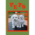 Pets: A must have book for children.