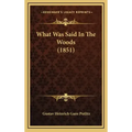 What Was Said In The Woods (1851)