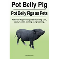 Pot Belly Pig. Pot Belly Pigs as Pets. Pot Belly Pig owners guide including care, costs, health, training and grooming.