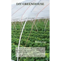 DIY Greenhouse: The Step By Step Guide To Build A Year-Round Solar Greenhouse And Grow Herbs, Organic Fruits And Vegetables, Plants, A