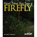 Next Time You See a Firefly