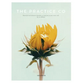 The Practice Co - Volume Three