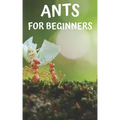 Ants for beginners: Guide to successfully keep ants in an ant farm for novices