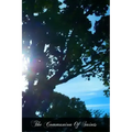 The Communion Of Saints