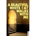 A Beautiful White Cat Walks with Me