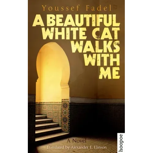 A Beautiful White Cat Walks with Me