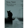 Stray Tarot: How to Survive as a Tarot Reader