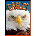 Eagles
