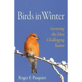 Birds in Winter: Surviving the Most Challenging Season
