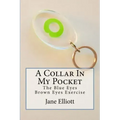 A Collar In My Pocket: Blue Eyes/Brown Eyes Exercise