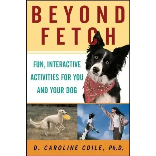 Beyond Fetch: Fun, Interactive Activities for You and Your Dog