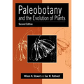 Paleobotany and the Evolution of Plants