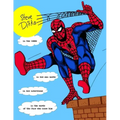 STEVE DITKO IN THE 1960s: In His Own Words, In His Interviews, In the Words of the Fans Who Knew Him