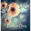 Butterflies, A No Text Picture Book: A Calming Gift for Alzheimer Patients and Senior Citizens Living With Dementia