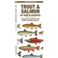 Trout & Salmon of North America, 2nd Ed: An Illustrated Folding Pocket Guide to Familiar Species