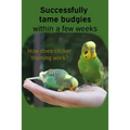 Successfully tame budgies within a few weeks: How does clicker training birds with budgerigars work? A step-by-step guide for budgies taming and parak
