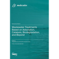 Wastewater Treatments Based on Adsorption, Catalysis, Biodegradation, and Beyond