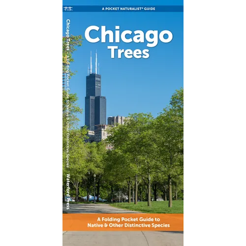 Chicago Trees