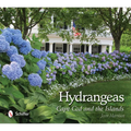 Hydrangeas: Cape Cod and the Islands