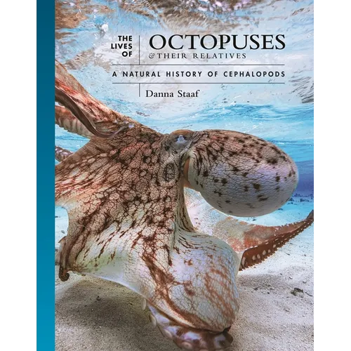 The Lives of Octopuses and Their Relatives: A Natural History of Cephalopods