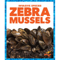 Zebra Mussels
