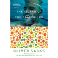 The Island of the Colorblind
