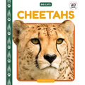 Cheetahs