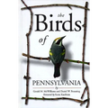 The Birds of Pennsylvania: National Identity and the Shaping of Japanese Leisure