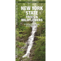 New York State Trees & Wildflowers: A Folding Pocket Guide to Familiar Plants