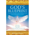 God's Blueprint: Understanding God's Divine Plan For Purposeful Living