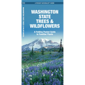Washington State Trees & Wildflowers: A Folding Pocket Guide to Familiar Plants