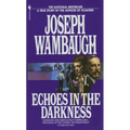 Echoes in the Darkness