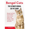 Bengal Cats: Bengal Cat Facts & Information, where to buy, health, diet, lifespan, types, breeding, care and more! The Ultimate Bengal Cat Pet Guide