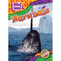 Narwhals