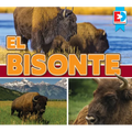 El Bisonte (Bison)