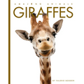 Giraffes