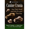 Canine Crania: Your Dog's Head and Why It Looks That Way
