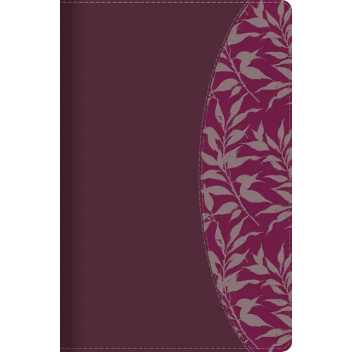 Rvr 1960 Biblia de Estudio Para Mujeres, Vino Tinto/Fucsia S匇il Piel Con ﾍndice
