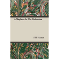 A Wayfarer In The Dolomites