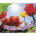 Plants in Spring