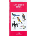 San Francisco Birds: An Introduction to Familiar Species