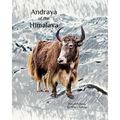 Andraya of the Himalaya