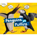 Penguins vs. Puffins