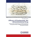 Efficacy of Praziquantel, the Antischistosomal Drug