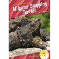 Alligator Snapping Turtles