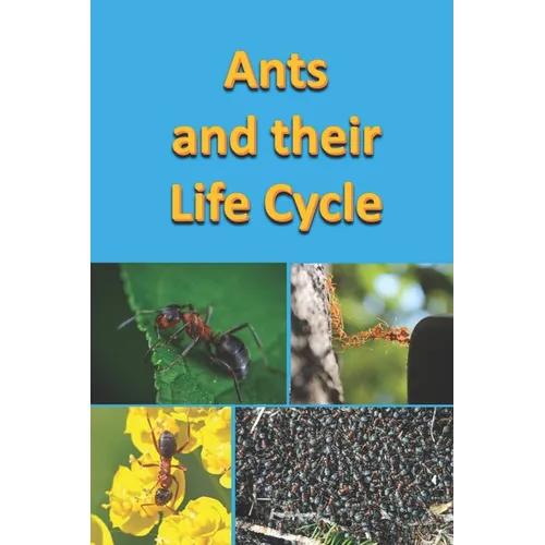 Ants and their Life Cycle