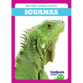 Iguanas