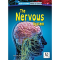 The Nervous System